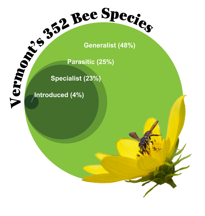 Proportional area diagram showing foraging classification of Vermont's 352 bee species