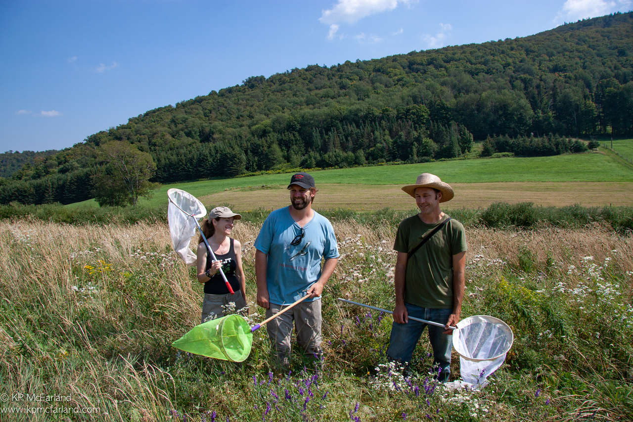 Community scientists collecting bees